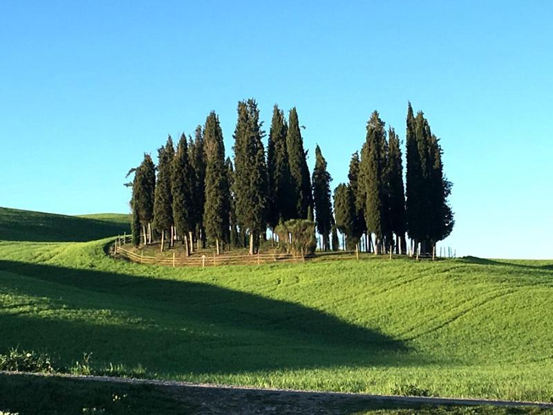 Camera La Margherita San Quirico dʼOrcia Exterior foto
